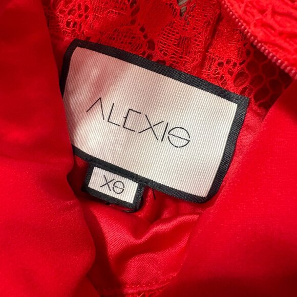 Alexis Anabella Lace Midi Dress in red size XS sheer panels long sleeve 0 2 - Picture 7 of 15